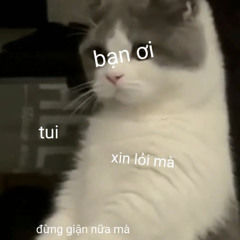 meo meo