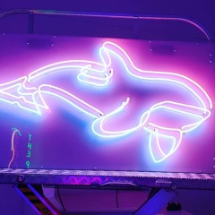 Orca