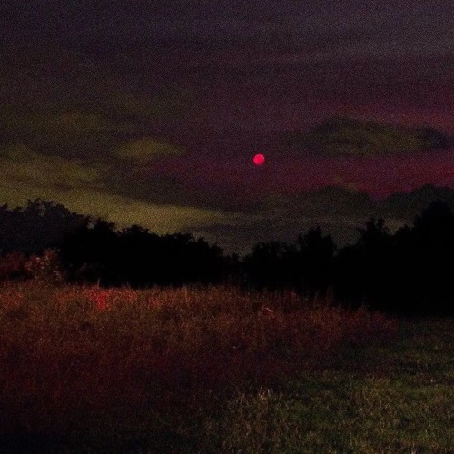 Deadman’s lullaby. (Prod. SUZUKKI)