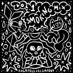 SMOKING MIX 1 KOGATELL B2B ELGATO500EUROS