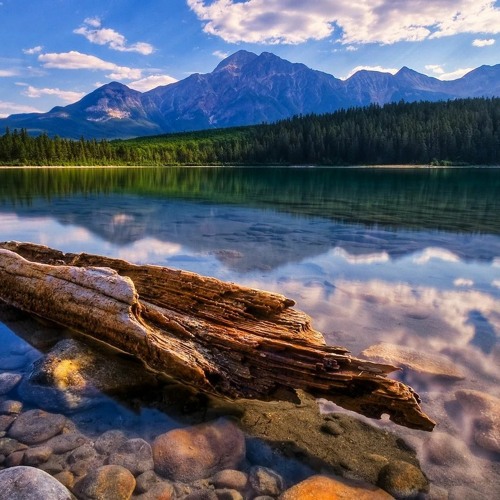 Stream LiQWYD I Said (No Copyright Music) by Max Music No Copyright