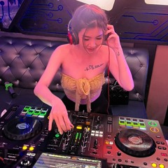 VietMix - Tú Bà Đi Lắc - TIBON MIX