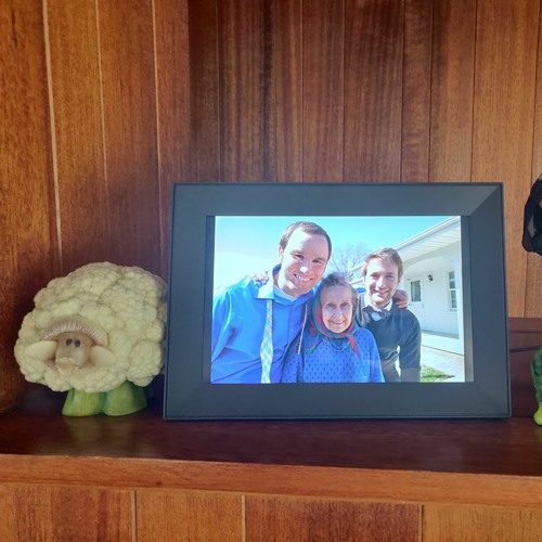 As a lily growing out of a bramble bush