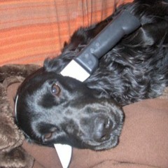 Flow 2000 Brasil Funk Remix