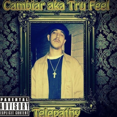 I Am Wordz Feat.Vanjay(Corbett Prod.)