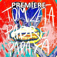 Tom Zeta - Padre Papaya (Original Mix)