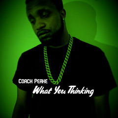 What You Thinking (feat. Alley Zeigler)