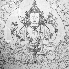 aprendo e deixo ir w/BootlegDharma-YOUNGBRUH*