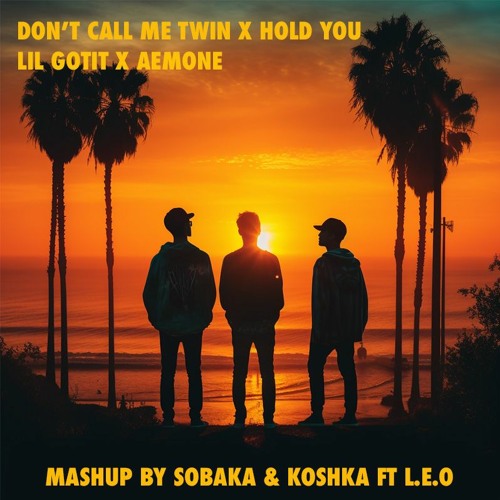 DON'T CALL ME TWIN (LIL GOTIT) x HOLD YOU (AEMONE) ft L.E.O