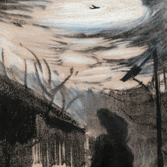 I Am Not Your Cushion