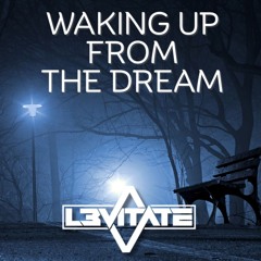 WAKING UP FROM THE DREAM