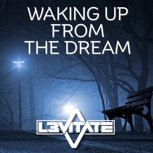 WAKING UP FROM THE DREAM