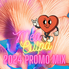 2024 Promo Mix