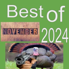 BEST EDM OF NOVEMBER 2024