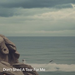 8. don’t-shed-a-tear-for-me( The Soul Rap Sas Mix)