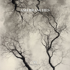 Ash Branches