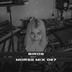 Morse Mix 027: Birds
