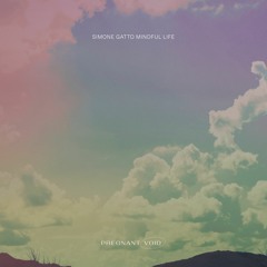 [PV012] - Simone Gatto - Mindful Life LP Previews