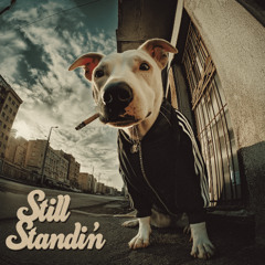Still Standin'