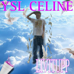 YSL CELINE (prod. sor.askys)