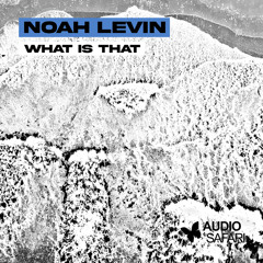 What Is That (Preview) Pre-Order or Pre-Save Now!