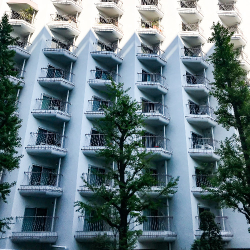 the beach head - Behind the Trees