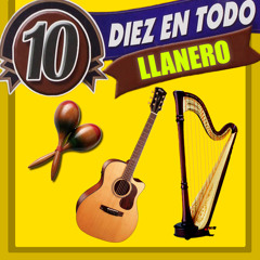Fiesta En Elorza