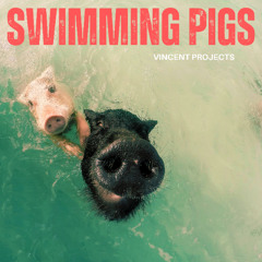 SWIMMING PIGS