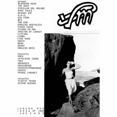 Weimar Gesang - Remaining Years