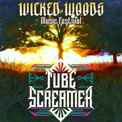 Tube Screamer live @ Wicked woods music festival 2023
