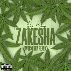 $hy Boog- Zakesha (Wockesha Freestyle)