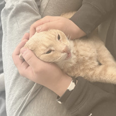 Never Letting Go