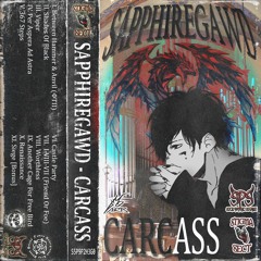 Another Cage For Free Bird