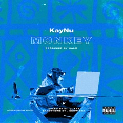 KayNu - MonKey (prod By HALM)