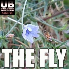 The fly | Melodic beat | by UBP