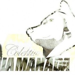 08. La manada - Ratas saziadas (con Sazy)