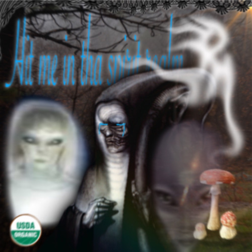 hit me in tha spirit realm (SC version)