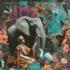 Qodës - Dara Maleya