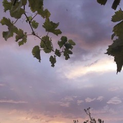 leave_everything_chapter366