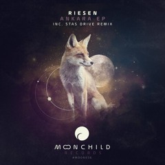 Riesen - Ankara (Stas Drive Remix) MOON036