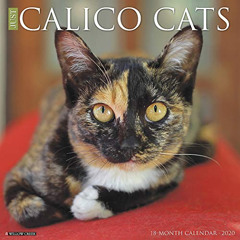 [VIEW] KINDLE 📨 Just Calico Cats 2020 Wall Calendar by  Willow Creek Press EBOOK EPU