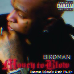 Money To Blow- Birdman(feat. Drake)(Some Black Cat Flip)|FREE DOWNLOAD|