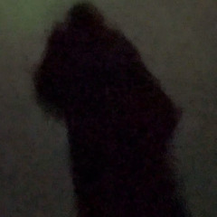 Fock Operator (no bass)