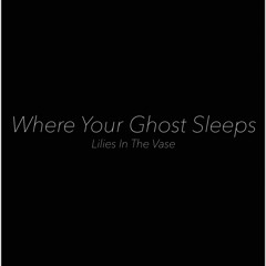 Where Your Ghost Sleeps