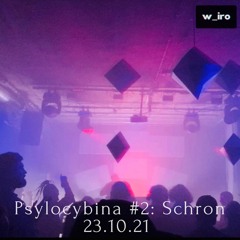 ＷＩＲＡŻ #4: Psylocybina closing DJ Hybrid Set at Schron