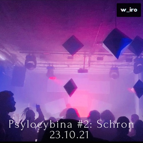 ＷＩＲＡŻ #4: Psylocybina closing DJ Hybrid Set at Schron