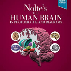 download EBOOK 📍 Nolte's The Human Brain in Photographs and Diagrams: With STUDENT C