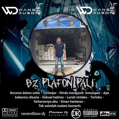 DJ WANG DOSON™ DUGEM KECEWA DALAM SETIA X TERLANJUR SPECIAL FROM BZ PLAFON PALI NEW 2024.mp3