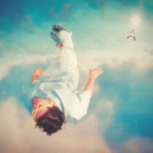 Oh No It Flew Away