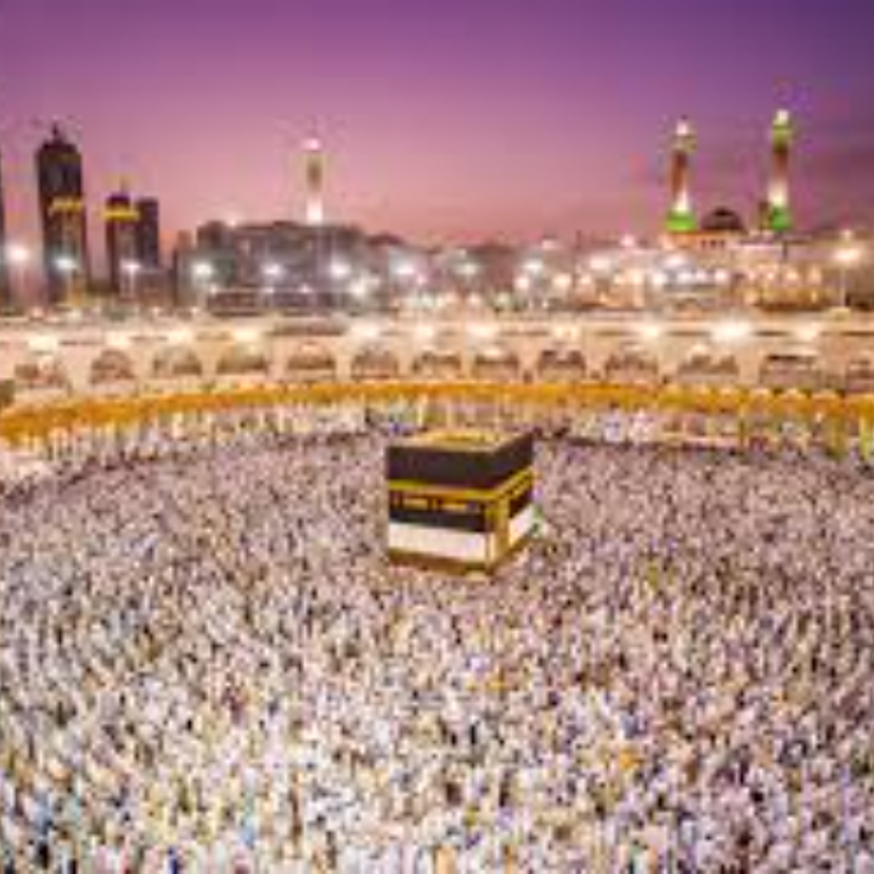 Hajj 1446 update: Hafiz Ismail Kholvadia, SAHUC